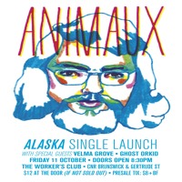 Animaux - Alaska