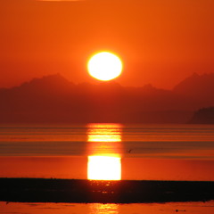 SUNRISE - Daniel, Sky-i, Jah Mirikle (NUTTY NRG)