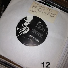 If you like Detroit Techno 12