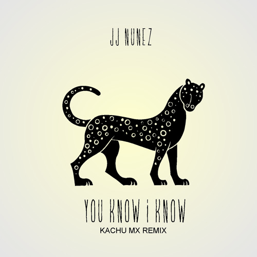 JJ Nunez - You Know I Know (Kachu Mx Remix)