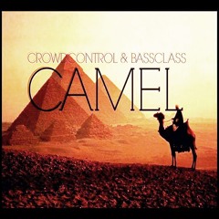 Bassclass & Crowd Control - Camel (Original Mix)