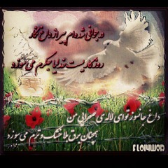 Alireza Ghorbani - ماهم به زیر خاک و دلم در این ظلمت زمان است