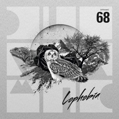 Adriatique - Mr. Creasy (DIYNAMIC068)