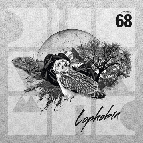 Adriatique - Mr. Creasy (DIYNAMIC068)