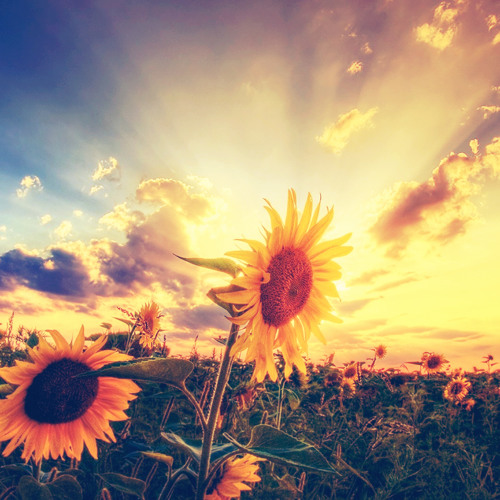 Andy Elliass & ARCZI - Look at the Beautiful World (A&Z Remix) @ FSOE 368/369 FS by Aly & Fila