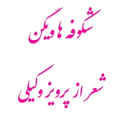 Shokoofeh Miraghsad Lyrics: Parviz Vakili Music: Khorram Vocals: Vigen