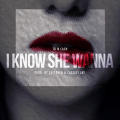 TK-N-CA$H "I KNOW SHE WANNA" PROD BY ZAYTOVEN & CASSIUS JAY
