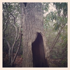 i realize (youre the 1)