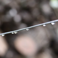 Entre La Espada Y La Pared