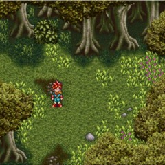 Nothing To See Here In This Forest..