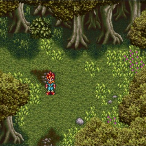 Nothing To See Here In This Forest..