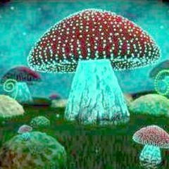 Infected Mushroom- Savant On Mushrooms (W3st's Pick-Up-The-Pace Remix)