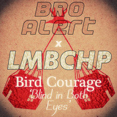 Bird Courage - Blind In Both Eyes (Bro ! Alert X LMBCHP Remix)