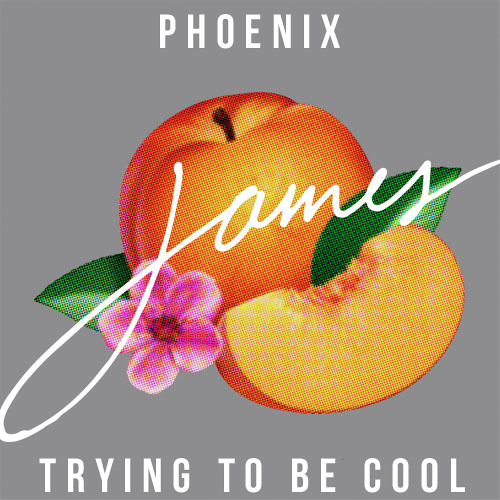 Phoenix - Trying To Be Cool (James Remix)