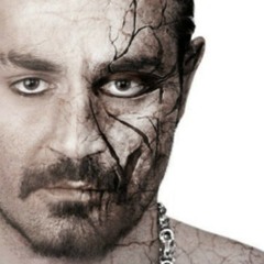 Palange Zakhmi -shahin najafi