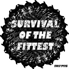 Survival Of The Fittest (Original Mix)