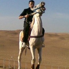 مولد دكان شحته .mp3عبدالسلام