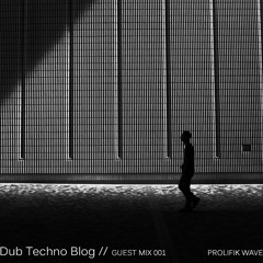Dub Techno Blog Guest Mix 001 - Prolifik Wave