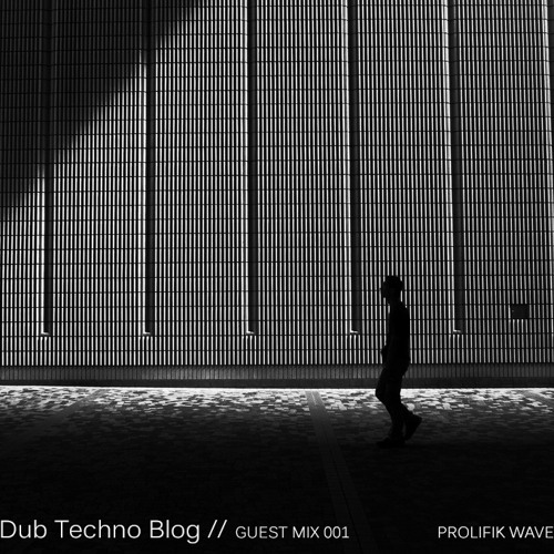 Dub Techno Blog Guest Mix 001 - Prolifik Wave