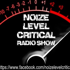 Noize Level Critical - New Disorder Festival Special