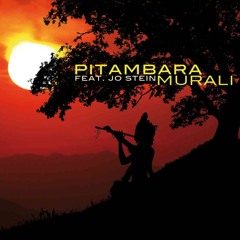 Pitambara feat. Jo Stein - Arut Perum Jothi (Live)
