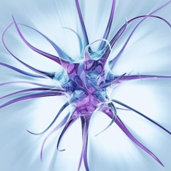 The Sound Of Synapse