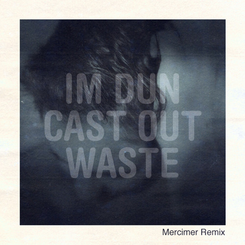 Im Dun - Cast Out Waste (Mercimer Remix)