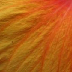 مقدمة ميس الريم - زياد