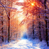 Winter Mp3