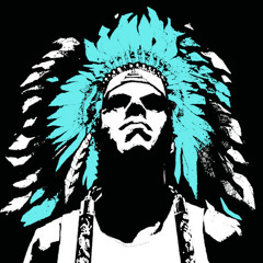 A Tribe Called Red