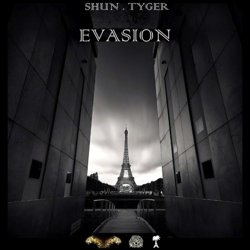 Stream Shun Tyger -EVASION MIX Exclusive for Vibes Radio Station by Vibes Radio  Station | Listen online for free on SoundCloud