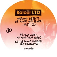 Zoo Look - My Mind (What You Do) [Kolour Ltd]