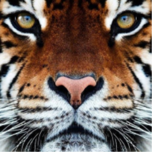 CODING SOUNDTRACK