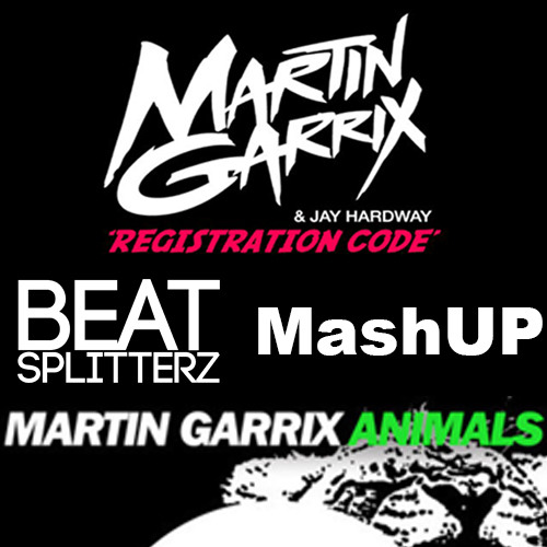 Stream Martin Garrix & Jay Hardway -Registration Animals Code (Beat  Splitterz MashUP) FREE DOWNLOAD by Beat Splitterz | Listen online for free  on SoundCloud