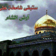 الشاعر محمد الاعاجيبي - أهل الشام 2013 شعر عجيييب.