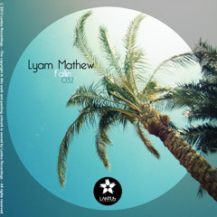 Fallin(Original Mix) / Lyam Mathew / LANTUS RECORDINGS 032
