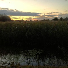 RSPB Fowlmere