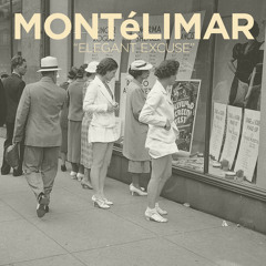 Elegant Excuse - Ringfinger cover 1st mix