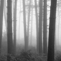 Mystical