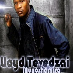 Ndepei Meso (Lloyd Tevedzai)