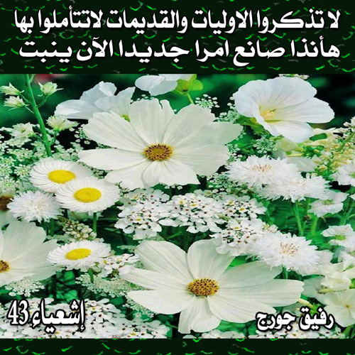 روائع الترانيم 12 + ترتيب : رفيق جورج