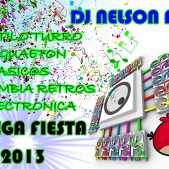 MEGA FIESTA DJ NELSON FSA