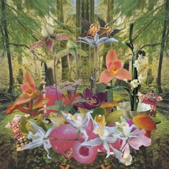 Monster Rally "Orchids"