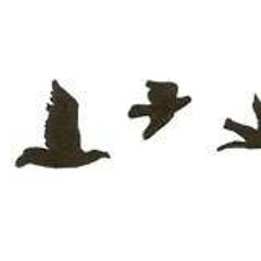 Believe سيف آدم