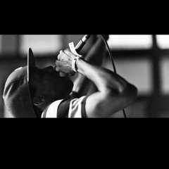 Rap Thesis (Lupe Fiasco, Dizzy Wright, Logic Type)