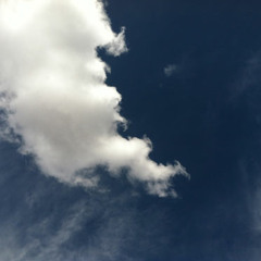 Moving Meditation