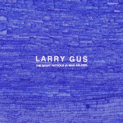 Larry Gus - The Night Patrols (A Man Asleep) [James Pants Remix]
