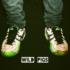 I saw the UFO (TSWWAF)