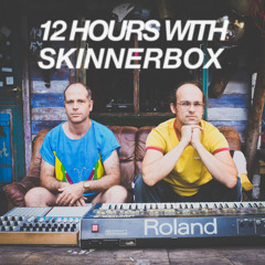 skinnerbox - 12 HOUR LIVE SET at KATERHOLZIG, 2013