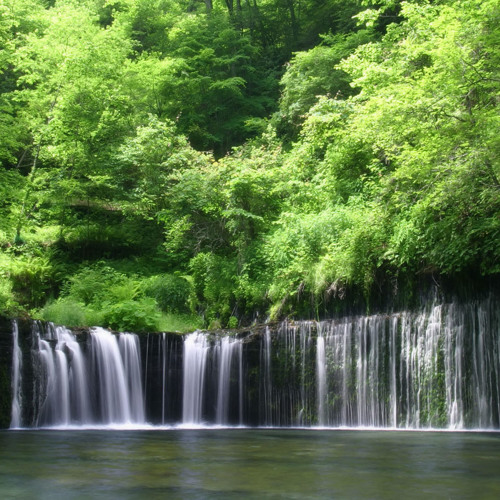 Guided Meditation Journey With Rain and Ambient Music (Chapter 1)